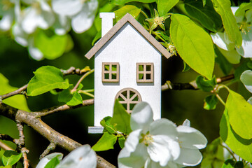 The symbol of the house among the branches of the pear
