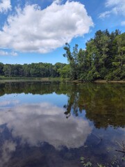 lake in the forest