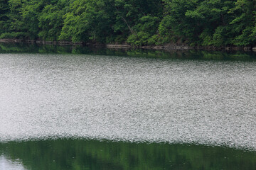 푸른 숲과 호수의 잔잔한 물결