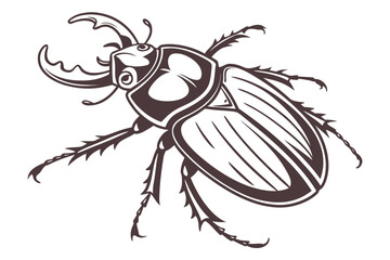 Beetle in a detailed monochrome drawing