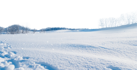 PNG Serene snowy winter landscape