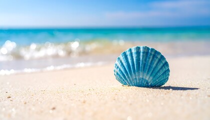 Fototapeta premium Blue seashell on a sandy beach