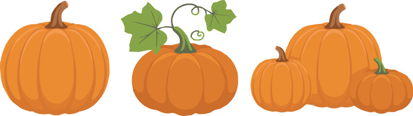 autumn pumpkin graphics for farming harvest seasonal holiday designs in ai eps jpeg png