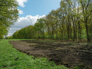 Agricultural Field Landscape