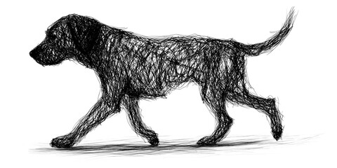 PNG Hand drawn of dog drawing art scribble.