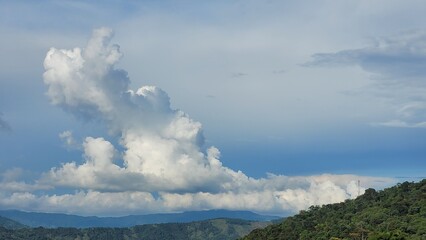 Magia en el campo en una tarde gris © LuisGonzaga