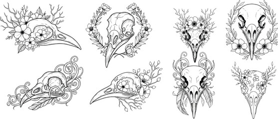 Fototapeta premium Set of Bird Skull and Floral Totem Illustrations – Hand-Drawn Black and White Vector Designs with Botanical Elements, Mystical Details, and Elegant Linework on Clean White Background 