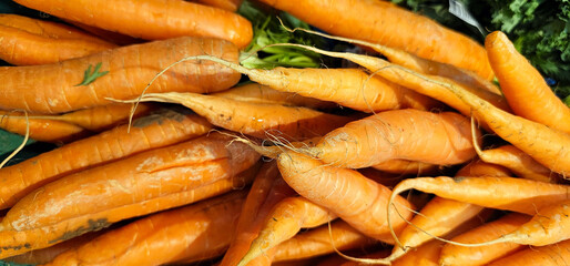 Fresh organic carrots stacked closely together, showing vibrant orange color, natural imperfections, and fine roots. carrots; vegetables;