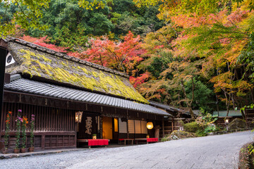 Fototapeta premium The historic Hiranoya teahouse in Arashiyama, featuring its iconic moss-covered thatched roof surrounded by autumn colors. Kyoto, Japan.