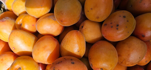 Fresh ripe mangoes with golden-orange skin, some marked with small black spots, tightly stacked in...