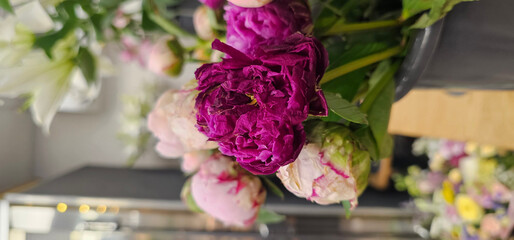 Magenta and pale pink peonies, some fresh and some wilted, arranged in a vase indoors with a blurred floral background. Perfect for floral and decor themes. peony, bouquet;