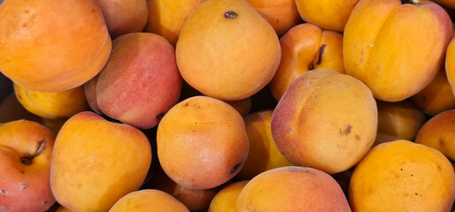 Ripe apricots with smooth orange and yellow skin are piled together, showing subtle red blushes and natural textures. Close-up, fresh, healthy look. apricots, fruit;