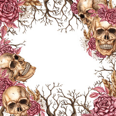 Skulls, burgundy roses, dry branches, dried flowers, brown feathers, square frame. Watercolor gothic illustration. Suitable for Halloween and Day of the Dead. Isolated from the background.