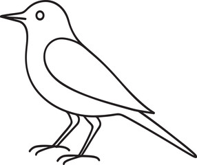 Bird Outline Icon, Minimal Line Art Vector Isolated on White Background