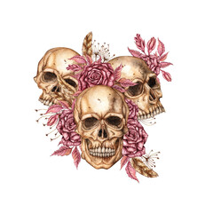 Skulls with dark red roses, dried flowers and feathers watercolor illustration. Bones in gothic style. Day of the Dead, Halloween, Dia de los muertos. Isolated. Symbolism of life and death.