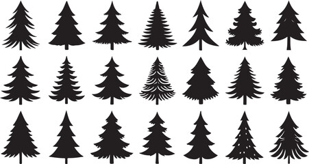 Fototapeta premium Black pine trees silhouettes evergreen trees forest