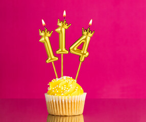 Yellow birthday cupcake with a number 114 candle - Birthday card on a pink background