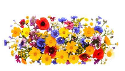 Colorful bouquet of wildflowers arranged isolated on a transparent background.