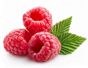 fresh raspberries with leaf isolated on white background