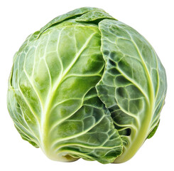 Obraz premium PNG Brussels sprout vegetable cabbage food.
