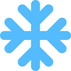 Obraz premium snowflake skinny icon