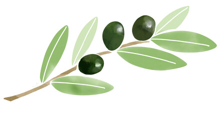 Watercolor style natural black olive illustration