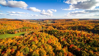 Fototapeta premium Breathtaking aerial view of autumnal forest landscape under a cloudy sky