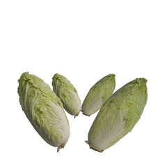 Naklejka premium Fresh Napa Cabbage on transparan background