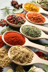 Many different spices in spoons on grey table, closeup