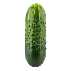 Fresh Green Pickle Cucumber Isolated.