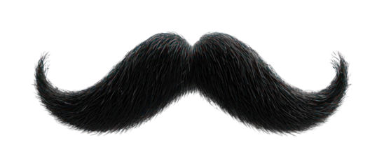 PNG Create an image of a single mustache style displayed background isolated classic.