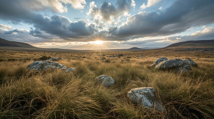 Golden hour sunbeams break through dramatic clouds over a wild, rocky moorland landscape with tall, dry grasses and ancient boulders.