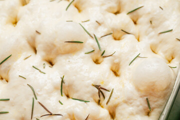 raw rosemary focaccia dough