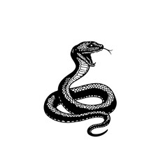 Detailed snake illustration showcasing scales and anatomy in a captivating and artistic rendering on clean white background