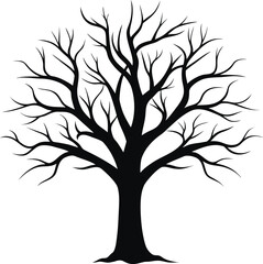 Black silhouette of a bare tree with spreading branches on a white background vector