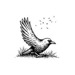 Majestic single bird gracefully taking flight from grassy ground, surrounded by a flock of smaller birds sketched