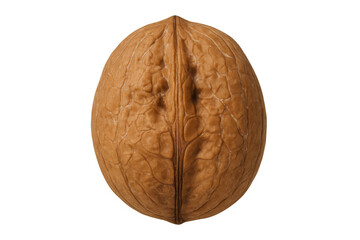 Cracked walnut shell revealing detailed surface texture, natural wood-like pattern against clear isolated backdrop