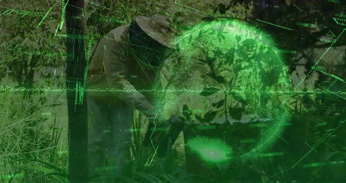 Beekeeper lifting hive lid, revealing agri tech data streams and globe while inspecting comb frame