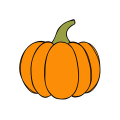 Orange pumpkin hand drawn in flat cartoon style raster illustration
