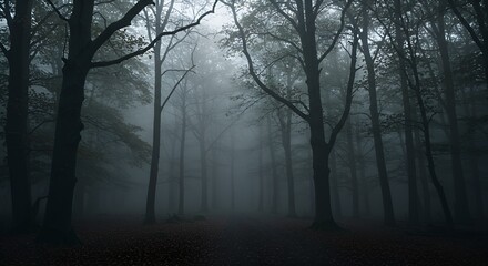 An eerie and atmospheric forest scene with a deep mood, enveloped by fog and dark shadows.