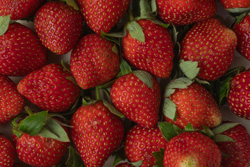 A fresh, ripe strawberry captured in detail