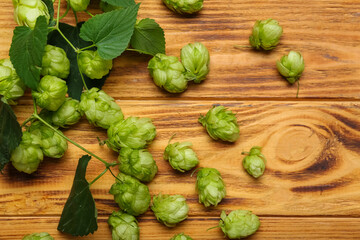 Fresh green hops and leaves on wooden background
