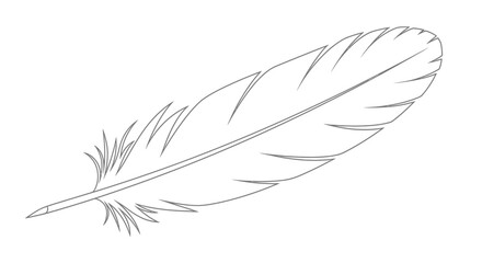 Obraz premium Minimalist feather illustration on a white background displaying simplicity and elegance in a refined monochrome design emphasizing the feather's