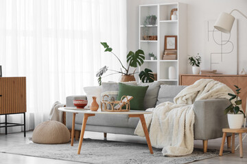 Interior of living room with grey sofa, shelf unit and green plants