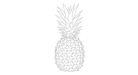 Obraz premium Detailed pineapple outline vector illustration showcasing intricate geometric shapes and sharp spiky leaves, perfect for minimalistic designs and