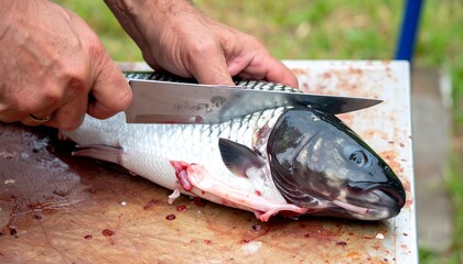 A person meticulously cuts a fish on a cutting board