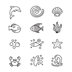 Line art illustration of marine life including fish and sea animals