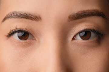 Naklejka premium Asian woman with brown eyes, closeup