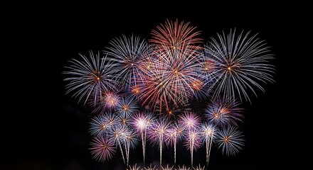 Colorful fireworks burst against a dark night sky.
