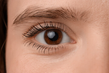 Obraz premium Young woman with brown eyes, closeup